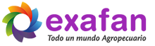 Exafan